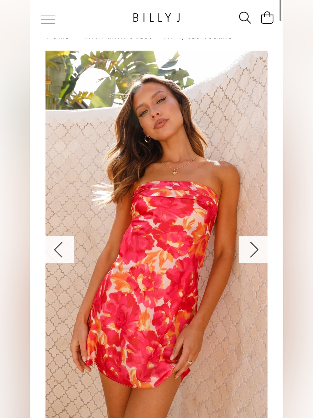 Miya Mini Dress in "Pink/Red Floral" from Billy J